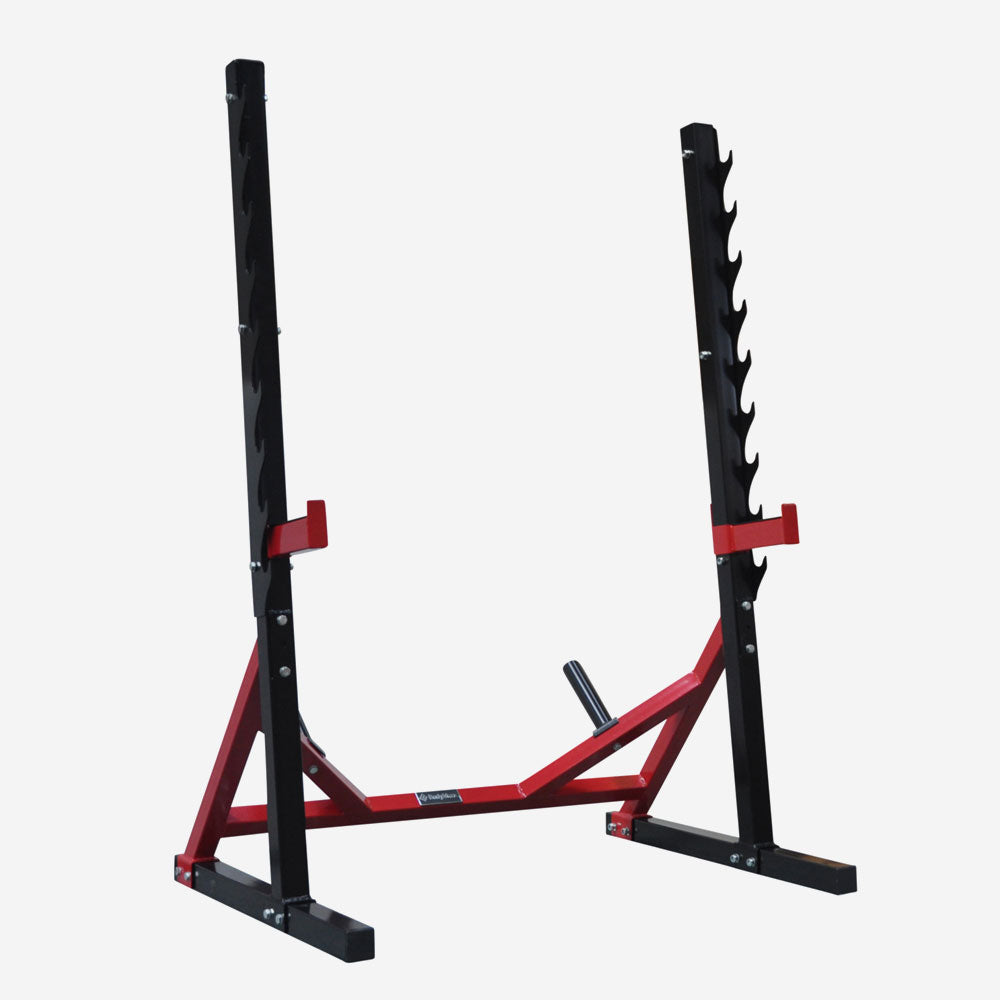 Bench, Leg Curl and Preacher