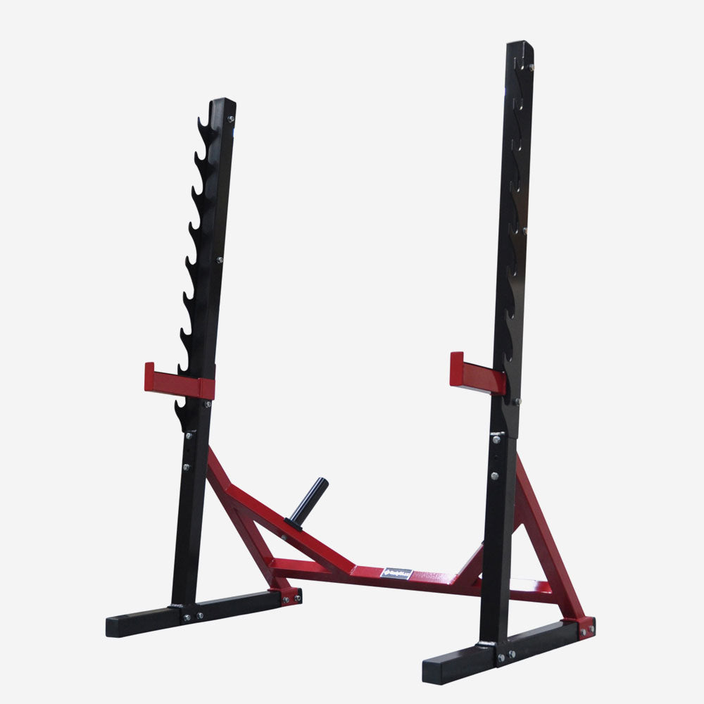 Bench, Leg Curl and Preacher